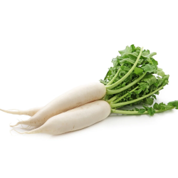 Radish (सफ़ेद मूली) - 500 gm
