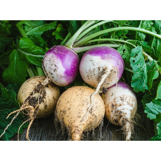 Turnip - शलजम  250gm