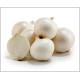 White Onion (सफेद प्याज) - 500 gm