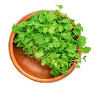 Green Cabbage Microgreens  (कैबज) -100g