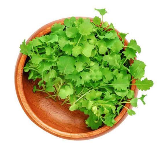 Green Cabbage Microgreens  (कैबज) -100g