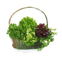 Leafy Greens Basket (बास्केट) - 1kg