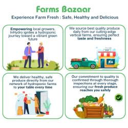 Leafy Greens Basket (बास्केट) - 1kg