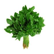 Amaranth Greens (हरी चोलाई) - 200g