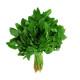 Amaranth Greens (हरी चोलाई) - 200g