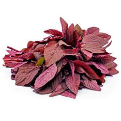 Amaranth Red (लाल चोलाई) - 250gm