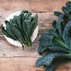 American Kale (अमेरिकन केल) -100g