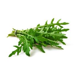 Arugula ( आर्गुला) - 50 gm