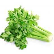 Celery (सेलरी)  - 200g