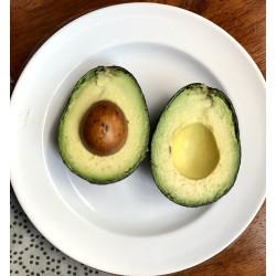 Avocado Premium Imported (एवोकाडो) - 1 Pcs