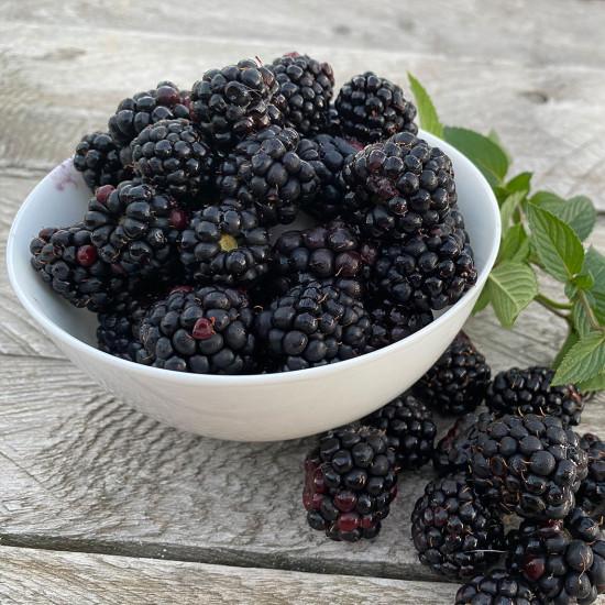 Blackberries EXOTIC FRUIT -  400 gm