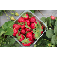 Strawberry (स्ट्रॉबेरी) - 250gm