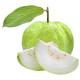 Fresh Thai Guava - 1 pcs