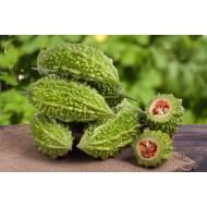 Hydroponic Bitter Gourd Karele -250g