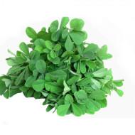 Fenugreek Microgreens (फेनूग्रीक माइक्रोग्रीन्स) - 250gm