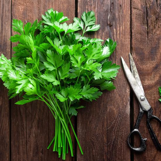 Hydroponic Parsely (पार्सली) - 100gm