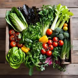 Hydroponics Vegetable Basket 2.5kg / 5kg