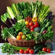 Hydroponics Vegetable Basket 2.5kg / 5kg 