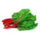 Swiss Chard Red (स्विस चर्ड रेड) - 100g