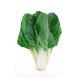 Swiss Chard White ( स्विस चर्ड व्हाइट ) - 100g