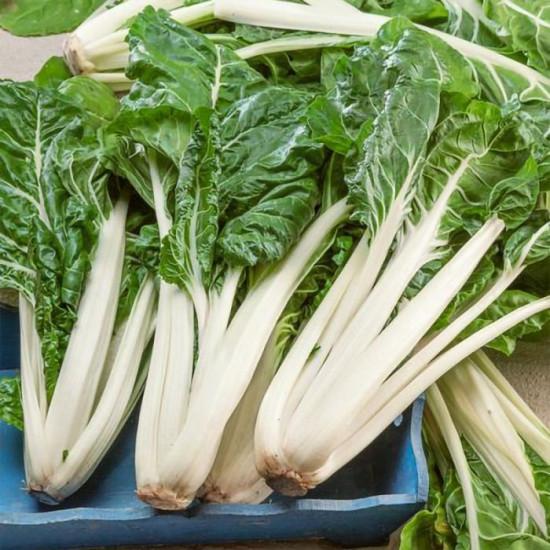 Swiss Chard White ( स्विस चर्ड व्हाइट ) - 100g