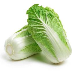 Chinese / Napa Cabbage (कैबेज) 1pc  (250 - 400gm)
