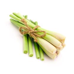 Hydroponics Lemongrass (लेमन ग्रास) - 250gm