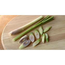 Hydroponics Lemongrass (लेमन ग्रास) - 250gm