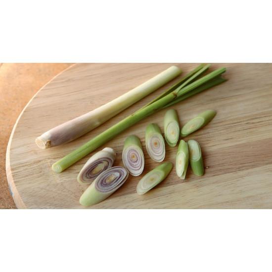 Hydroponics Lemongrass (लेमन ग्रास) - 250gm