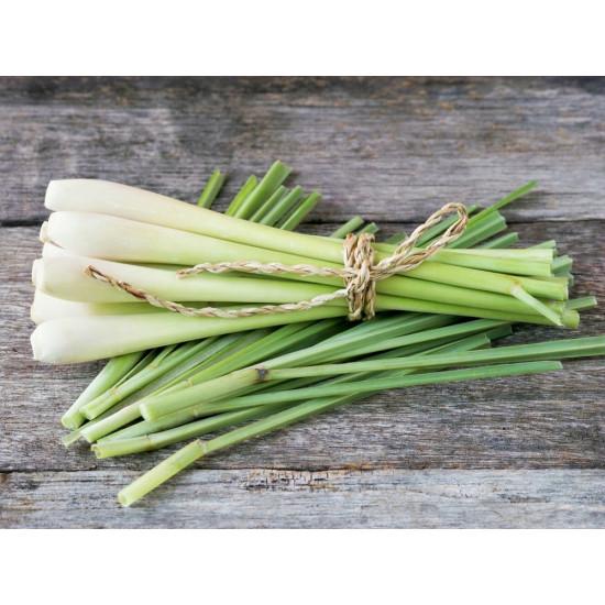 Hydroponics Lemongrass (लेमन ग्रास) - 250gm