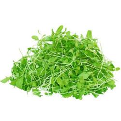 Mustard Microgreens ( सरसों माइक्रोग्रीन्स) -100gm