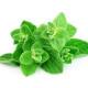 Cubic Oregano (ओरिगैनो) -100gm