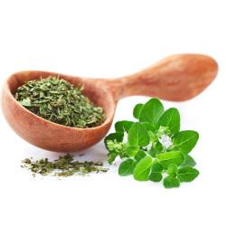 Cubic Oregano (ओरिगैनो) -100gm