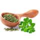 Cubic Oregano (ओरिगैनो) -100gm