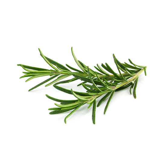 Rosemary (रोज़्मेरी) -100gm