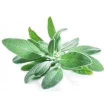 Sage Herb (सेज) -100gm