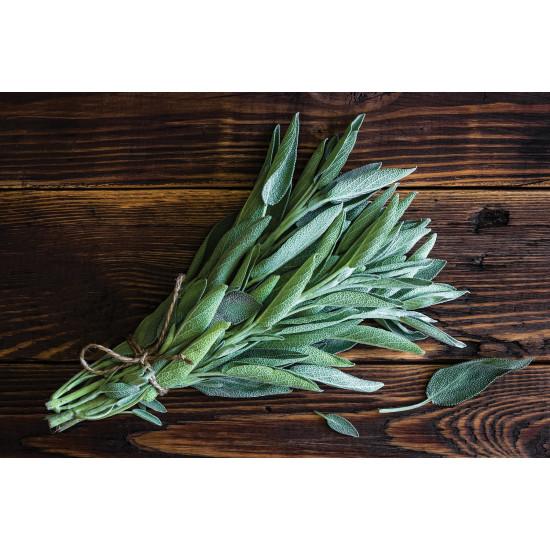 Sage Herb (सेज) - 20gm