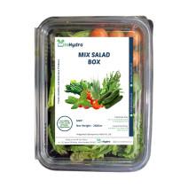 Mix Salad Box - 250gm