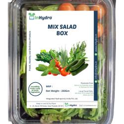 Mix Salad Box - 250gm
