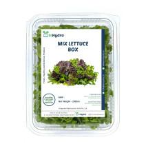 Mix Lettuce Box - (250gm)