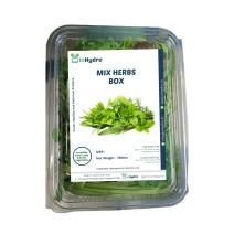 Mix Herbs Box - (100 gm)