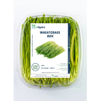 Wheatgrass Box - (100g) 