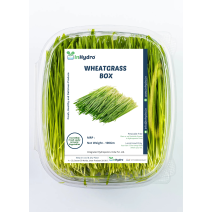 Wheatgrass Box - (100gm)