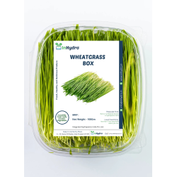 Wheatgrass Box - (100g)