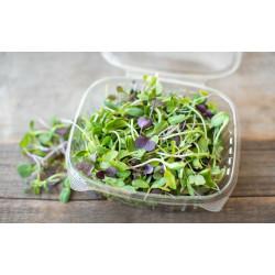 Microgreens mixed (मिक्स माइक्रोग्रीन्स)-100g