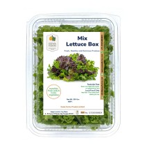 Mix Lettuce Box - (250gm)