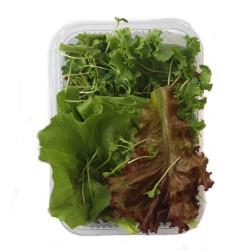 Mix Leafy Green Box - (250gm)
