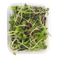 Microgreens Box  - (100gm)