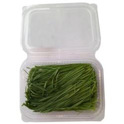 Wheatgrass Box - (100g)
