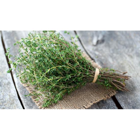 Hydroponic Thyme (हाइड्रोपोनिक्स थाइम) - 20 gm